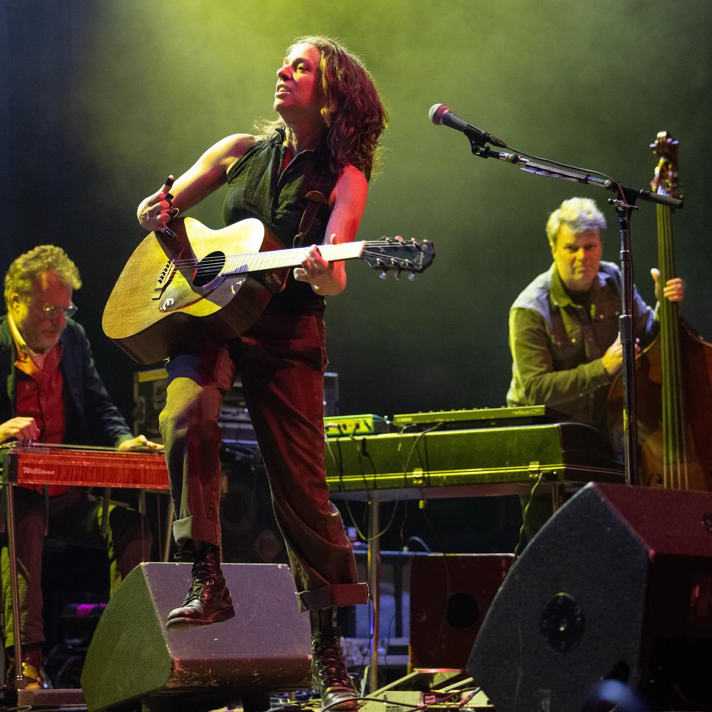 Ani DiFranco